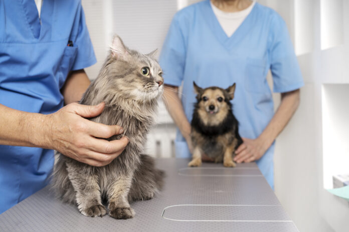 PartnerVet își consolidează rețeaua în sud-est prin integrarea clinicii KarmaVet din Tulcea