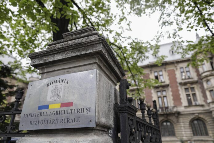 Peste 151 mil. euro fonduri europene pentru investiții în legume și cartofi